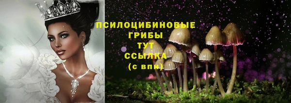 кристаллы Бородино