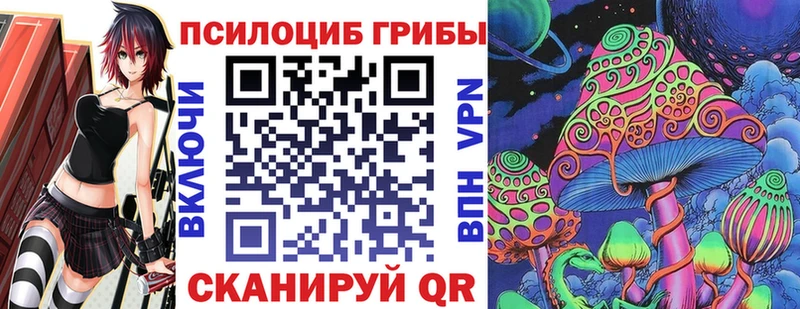 KRAKEN вход  Наро-Фоминск  Псилоцибиновые грибы MAGIC MUSHROOMS 